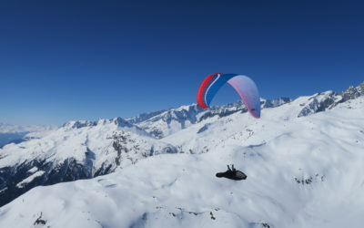 Flying or not flying?